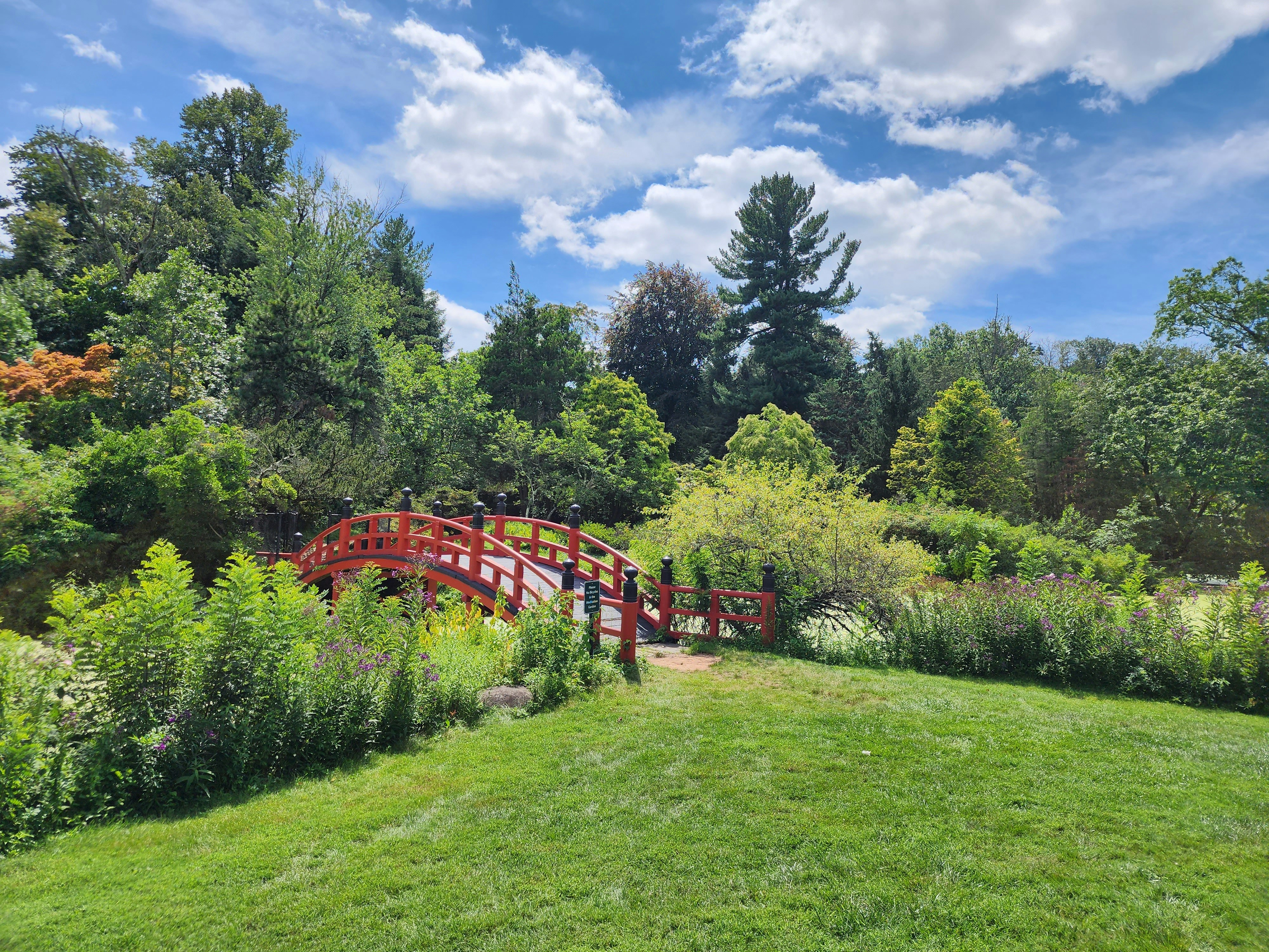 A red bridge crossing over a lush green field photo Free Park Image