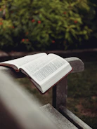 A serene garden with a wooden bench and open book resting on it.