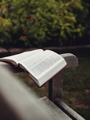 A peaceful garden with a wooden bench and open Bible.