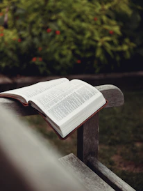 A peaceful park bench under a tree, with an open book resting on it, inviting quiet reflection.