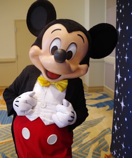 a person dressed in a mickey mouse costume