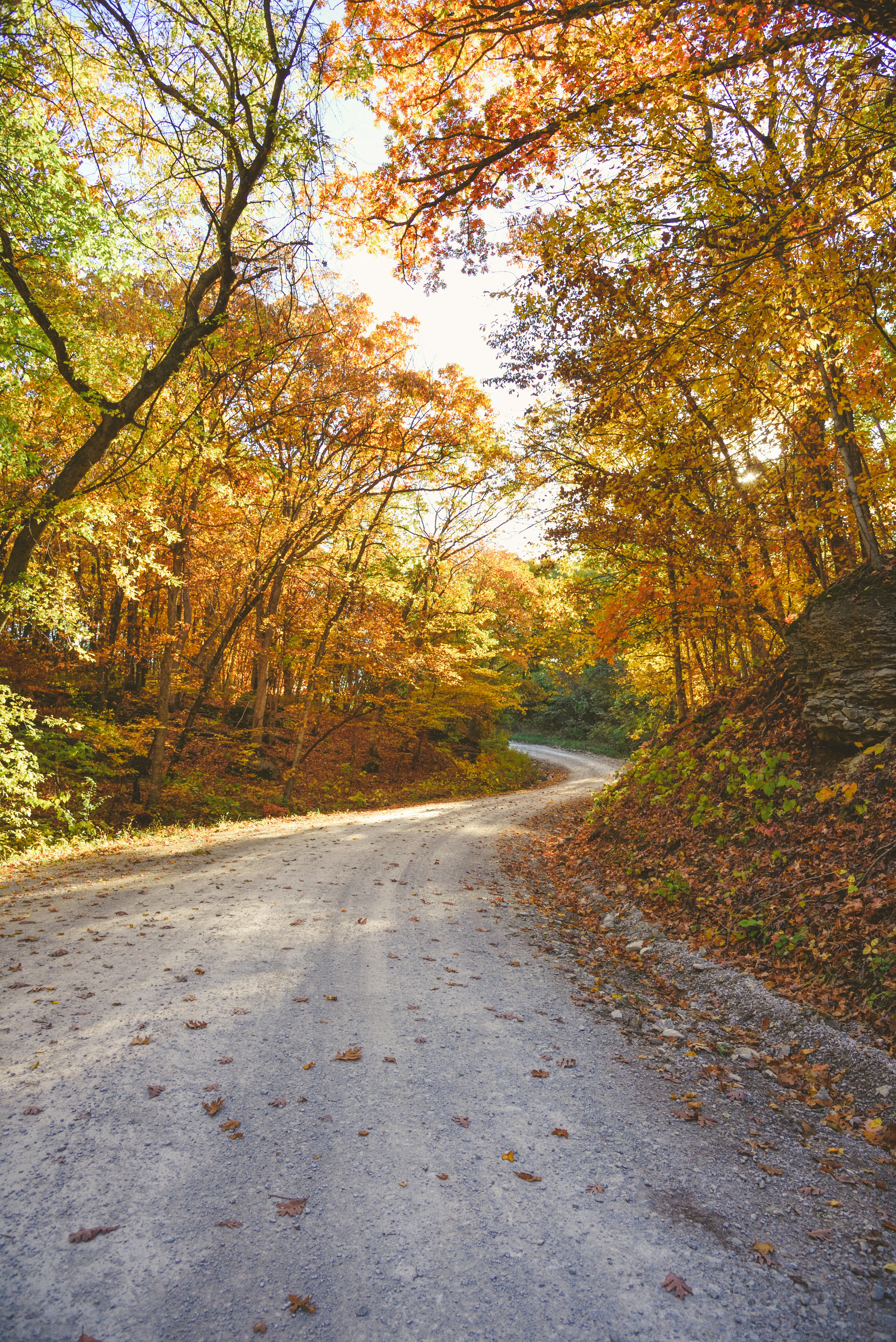 Photo by haleyparson