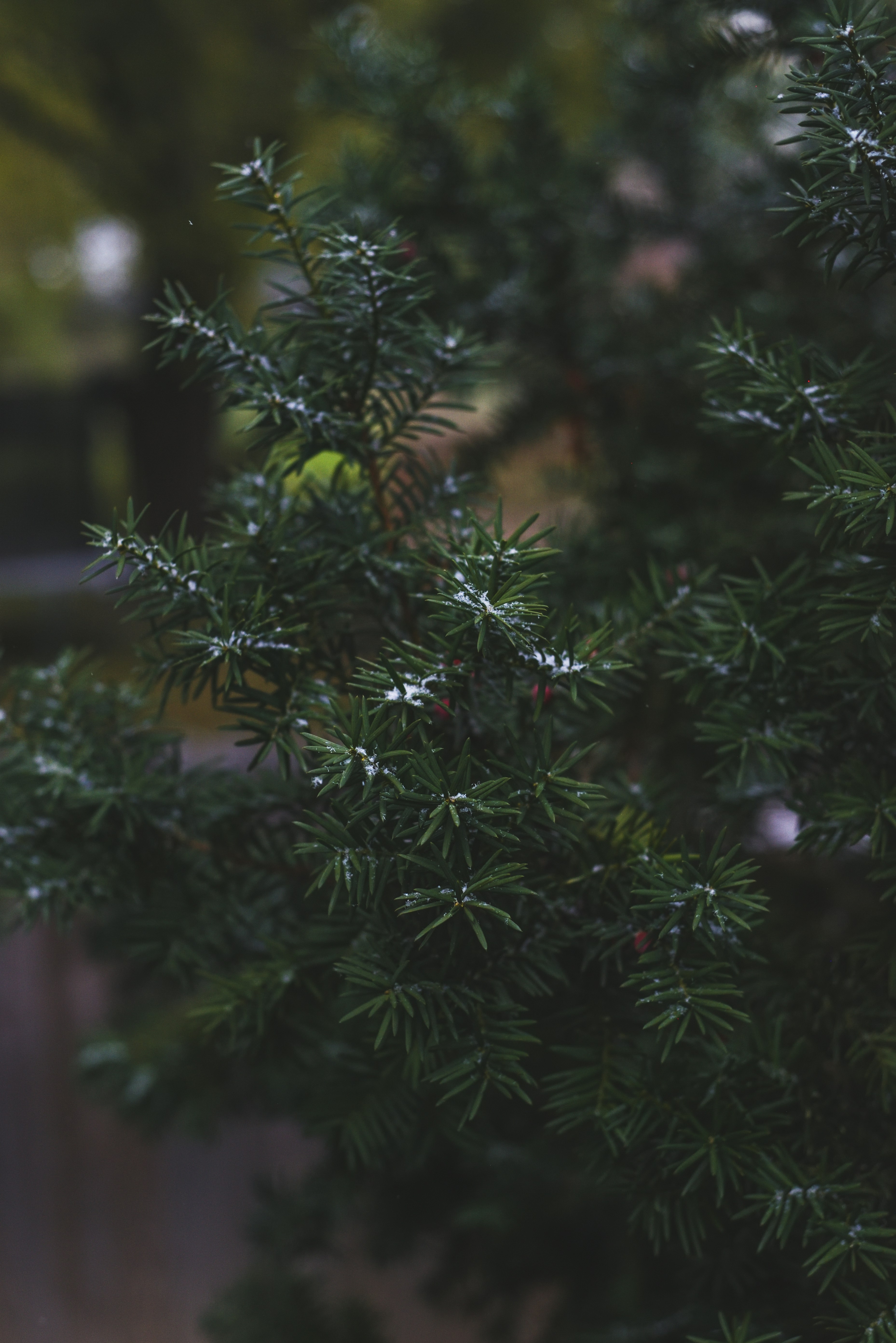 Photo by haleyparson