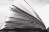 An open book with pages turning, symbolizing transparency and knowledge.