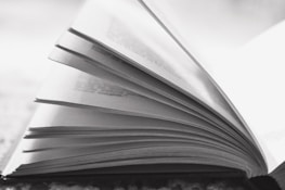 An open book with pages turning, symbolizing transparency and knowledge.