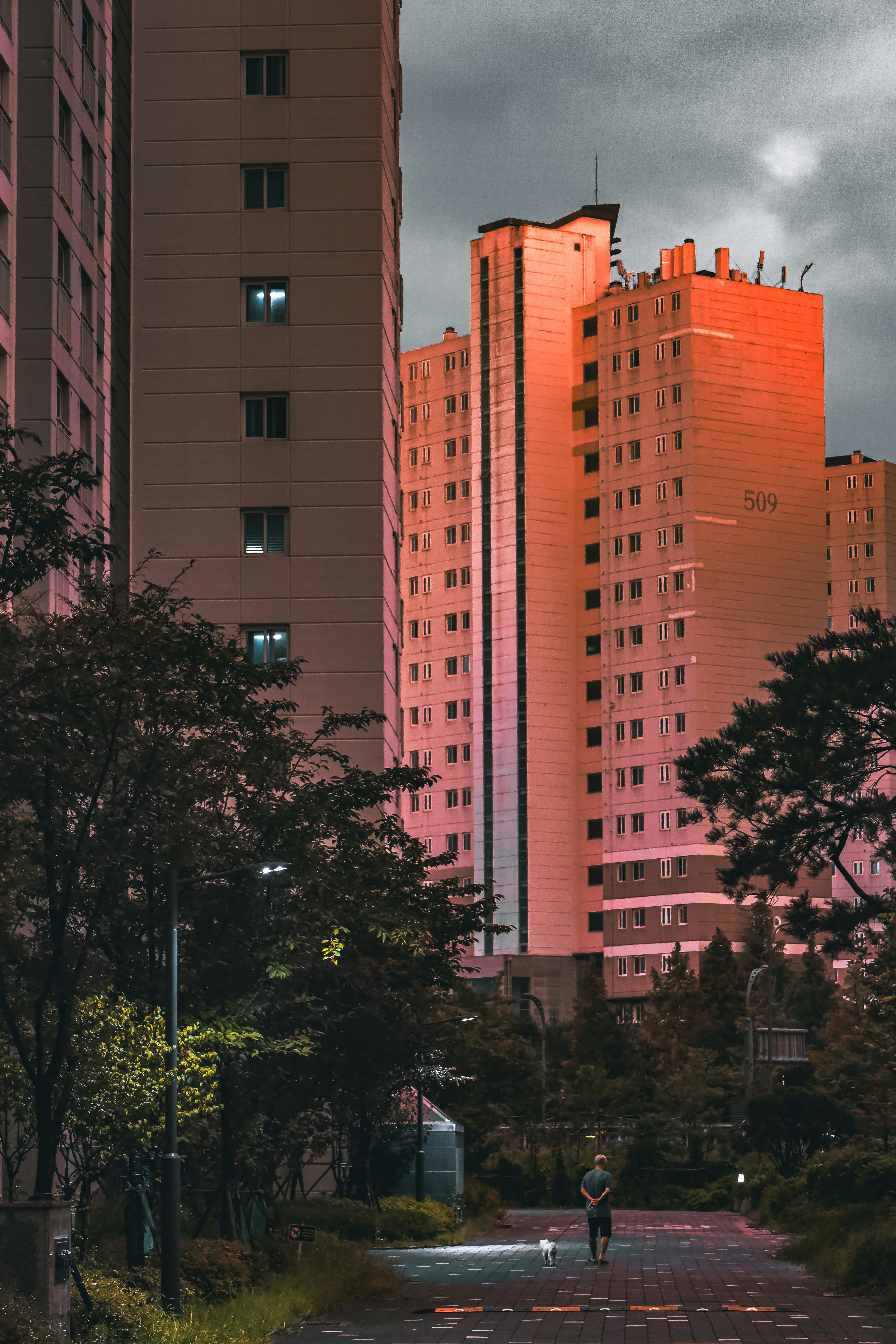 Photo by yuliki_mikhail