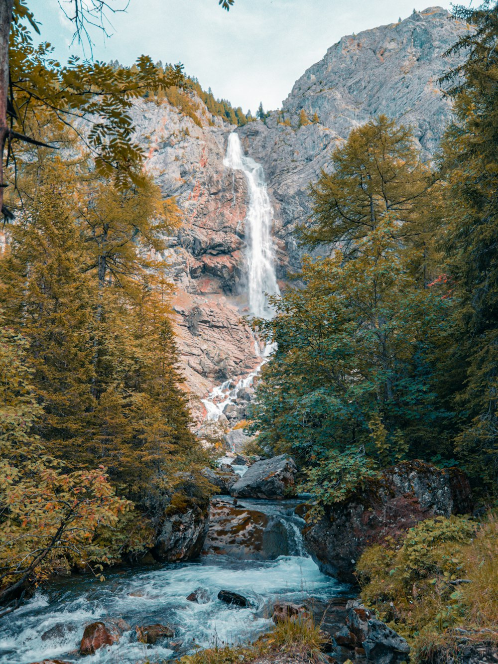 a waterfall in the middle of a forest