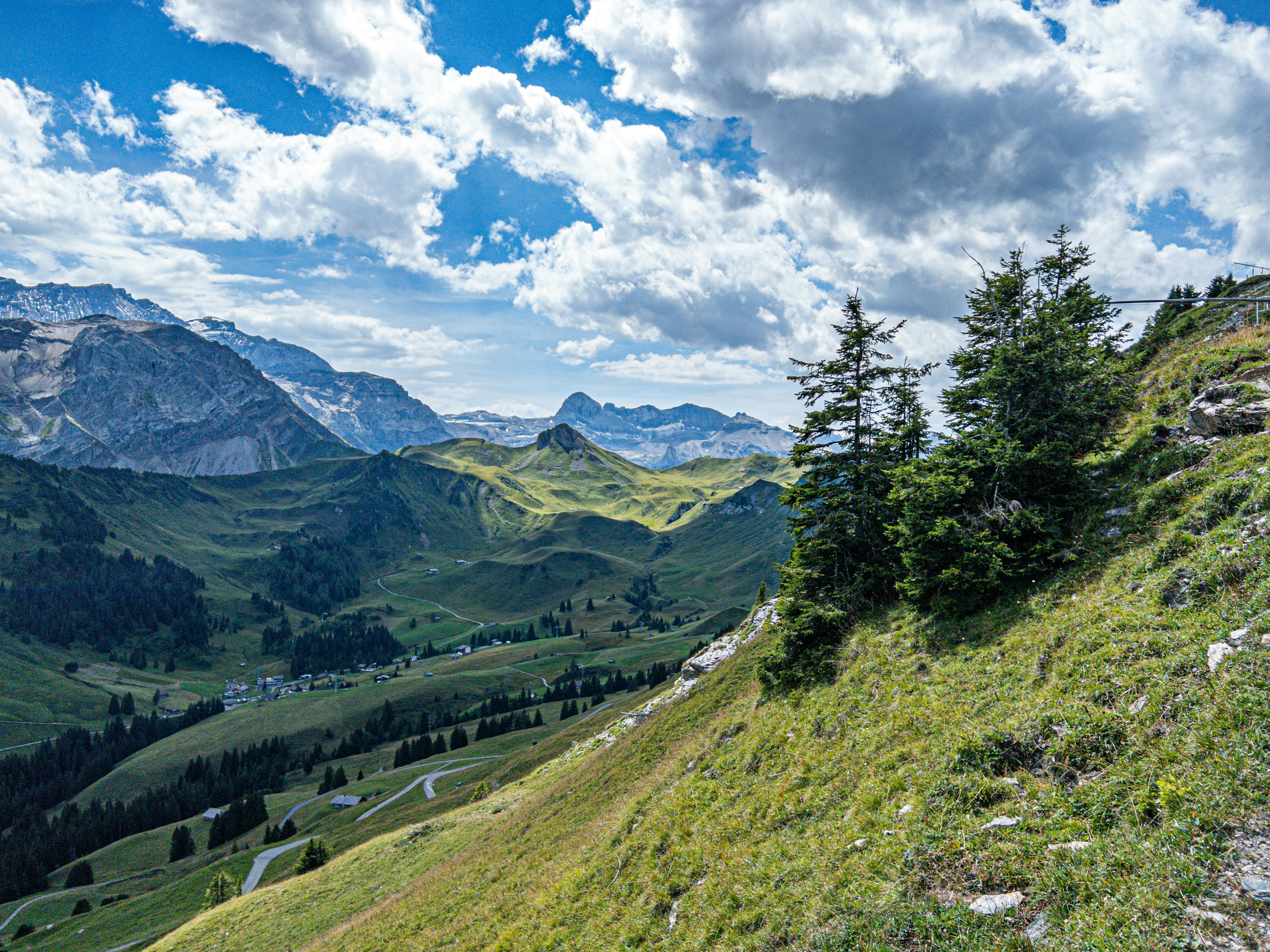 a man riding a bike down a lush green hillside