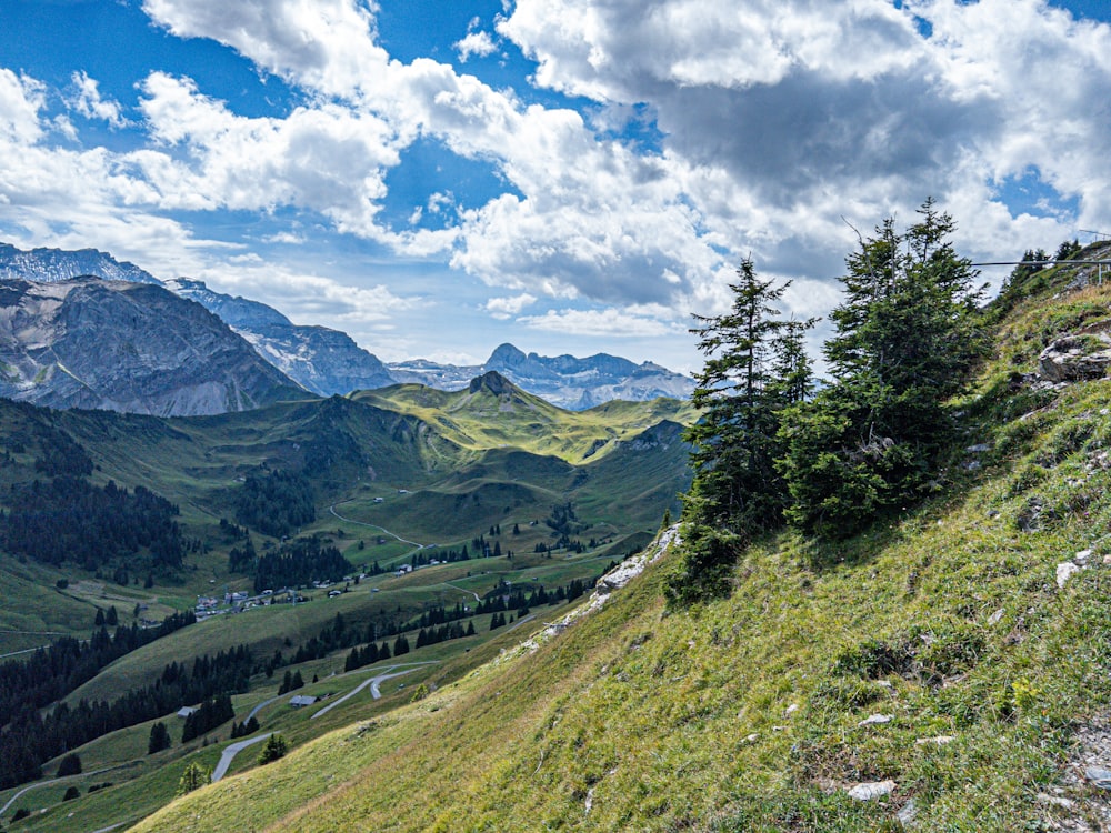 a man riding a bike down a lush green hillside