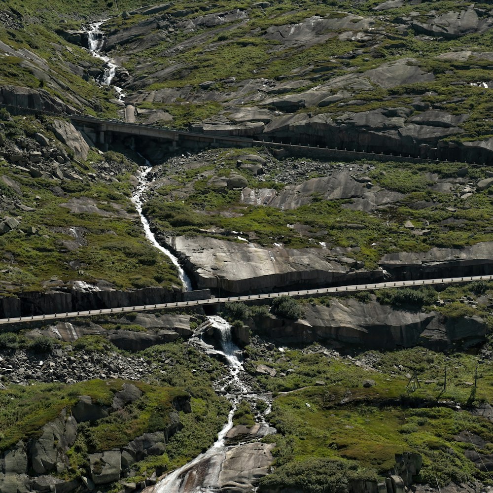 a train traveling through a lush green hillside