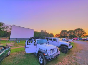 A lively crowd gathered at the Tiger Drive-In under a twilight sky, watching a student film on the big outdoor screen.