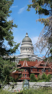The Georgia State Capitol building subtly framed by autumn trees under a clear sky.