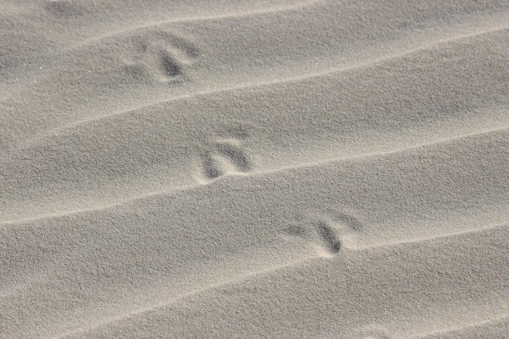 footprints in the sand of a beach