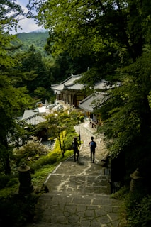 A serene pathway leads down towards traditional Asian-style buildings nestled in dense green forest. Two people are walking along the stone path surrounded by lush greenery and trees that arch overhead. The background features rolling hills shrouded in mist, emphasizing tranquility and natural beauty.