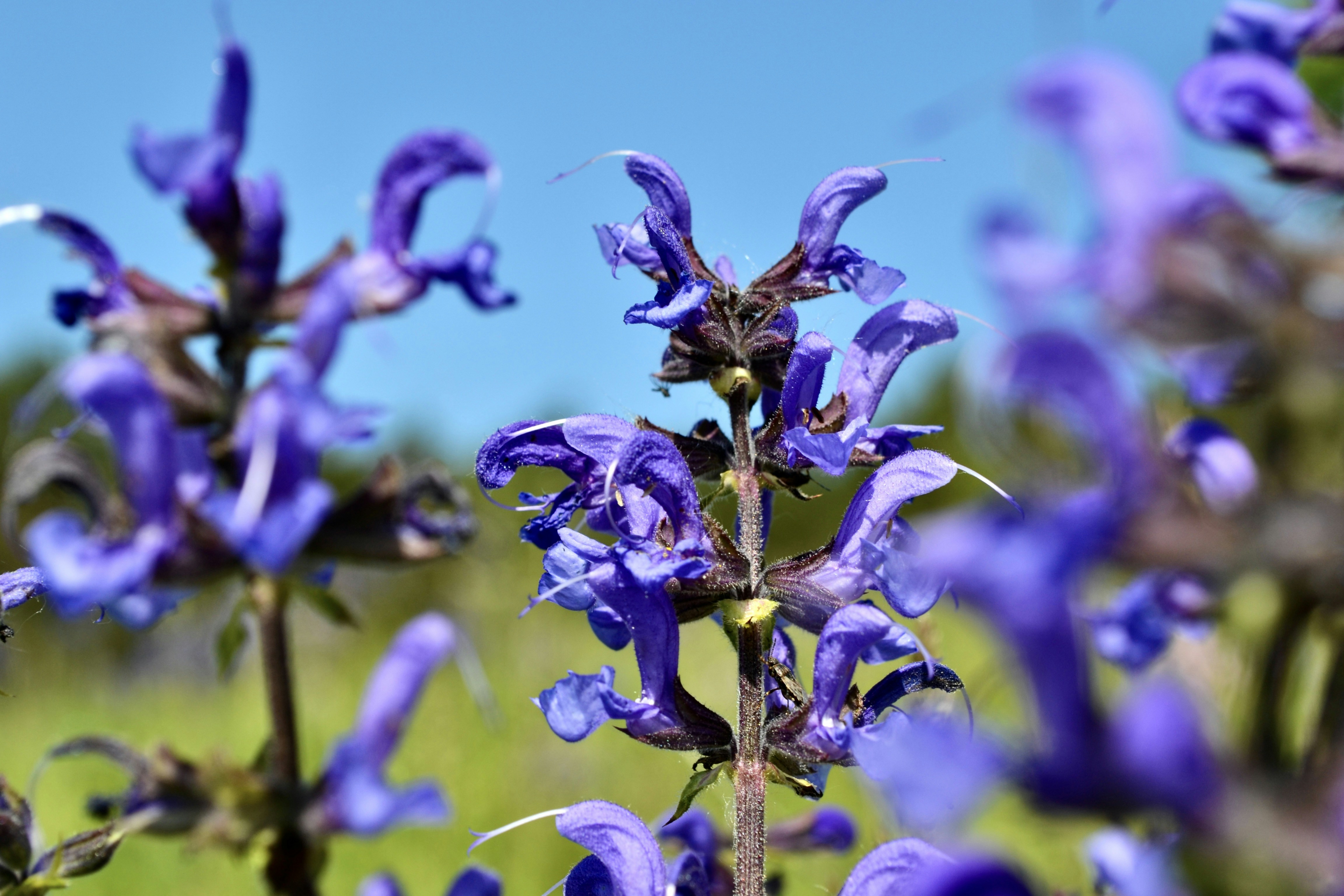 Photo by evgenslavin