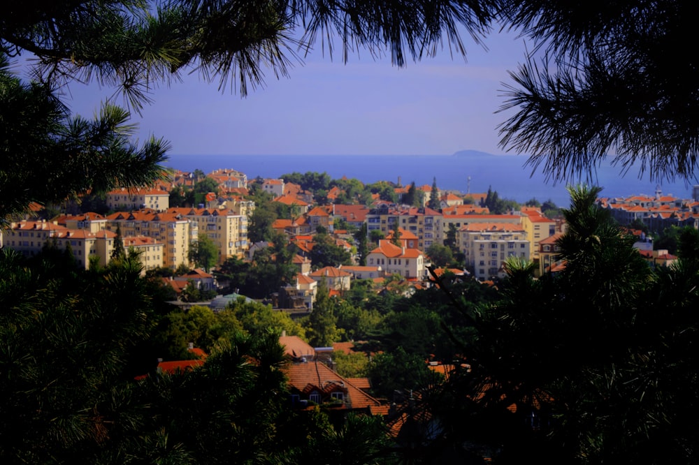 a view of a city from behind some trees