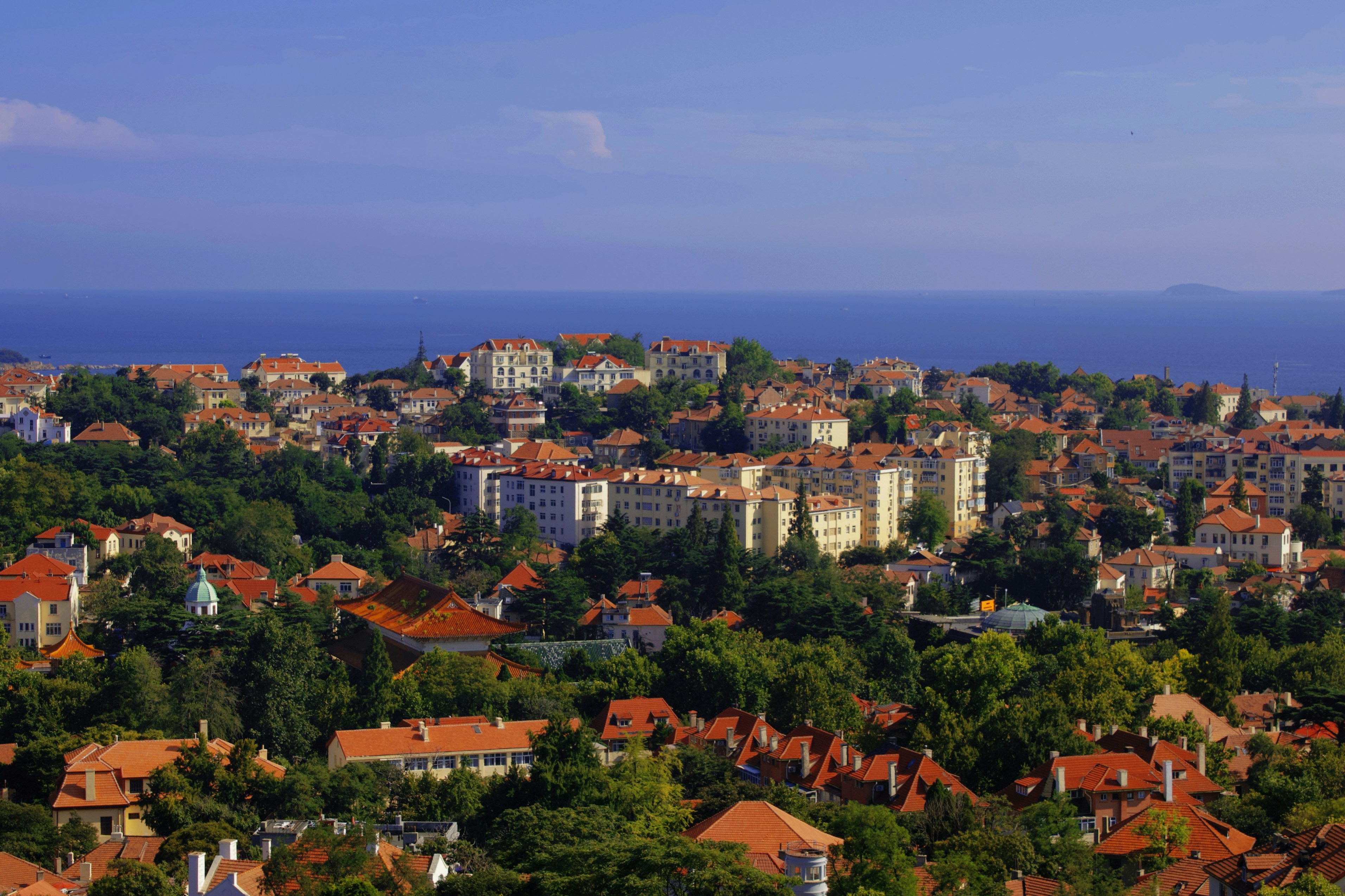 Image by Ace Lucas via Unsplash