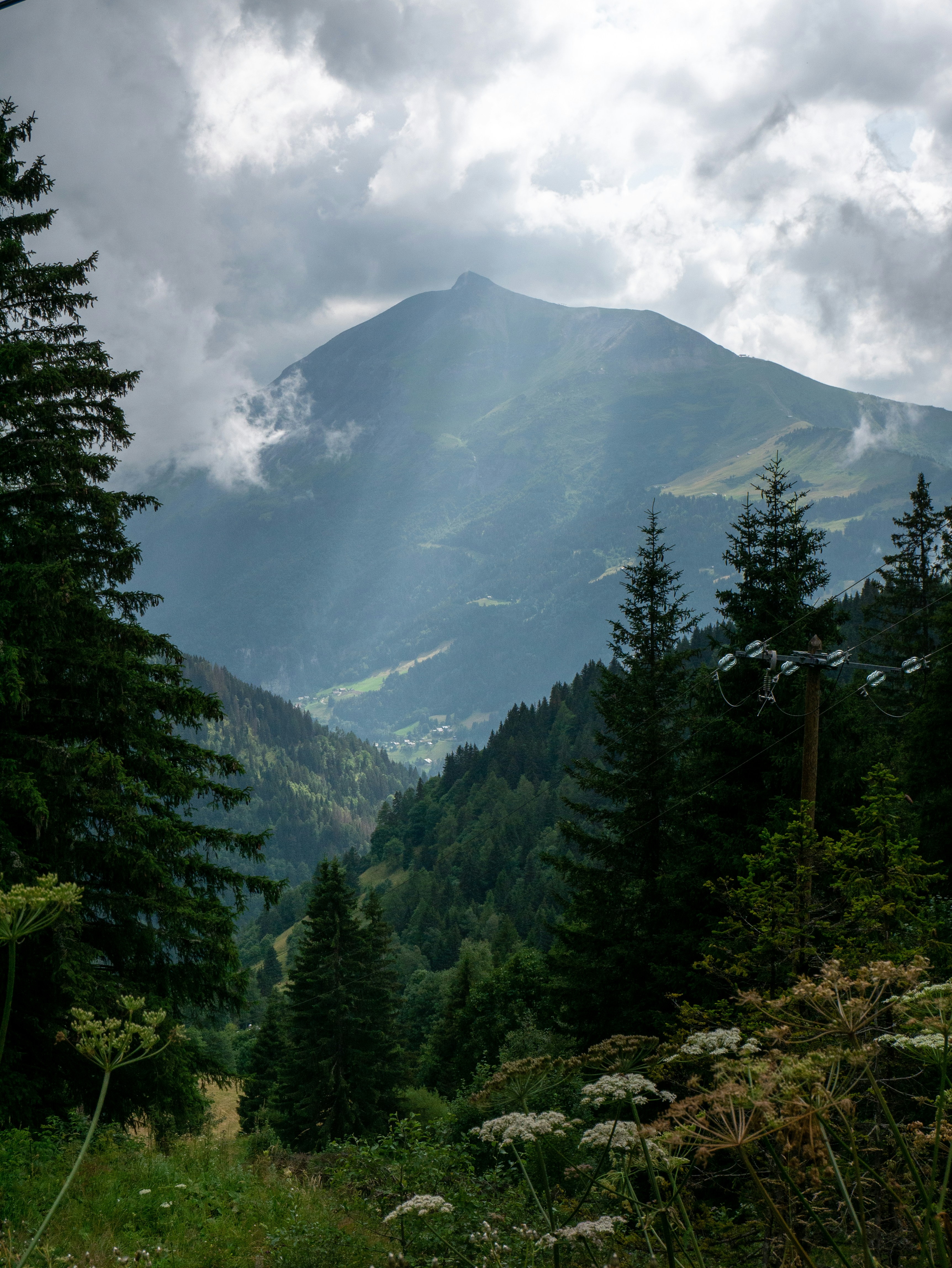 Photo by nicolasweldingh