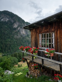 A rustic wooden cabin with a small balcony adorned with vibrant red and white flowers in pots. The balcony overlooks a lush green valley with dense forested mountains in the background. Stacked firewood is visible under the balcony. The sky appears overcast, adding a serene and tranquil ambiance.