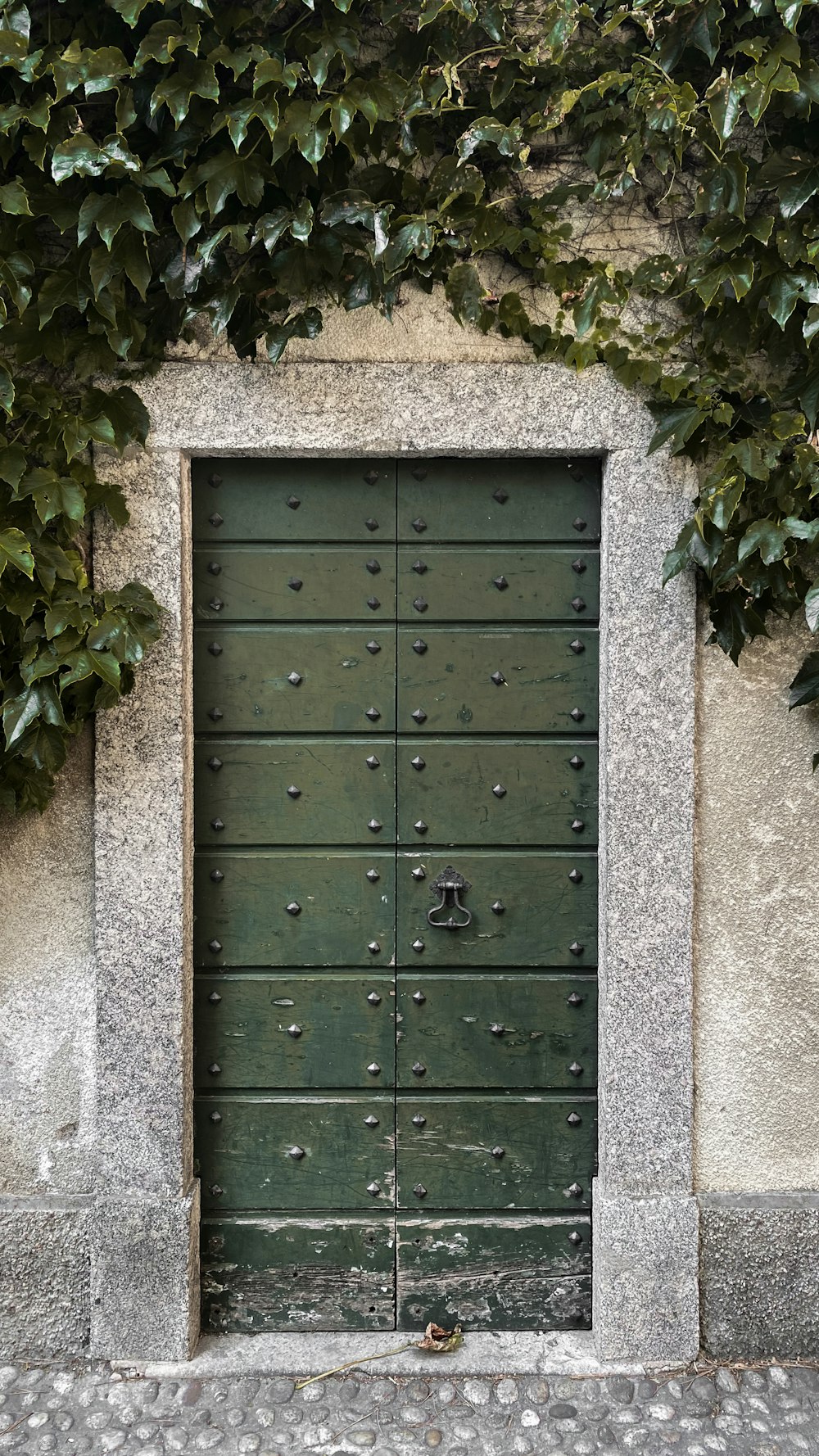 eine grüne Tür, über der ein Strauß Weinreben wächst