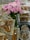 A lavish display featuring a bouquet of pink and white flowers in the center, surrounded by an assortment of sweets and nuts presented in ornate, decorative containers. The setup includes clear glass and metallic elements, giving a luxurious and festive appearance.