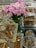 A lavish display featuring a bouquet of pink and white flowers in the center, surrounded by an assortment of sweets and nuts presented in ornate, decorative containers. The setup includes clear glass and metallic elements, giving a luxurious and festive appearance.