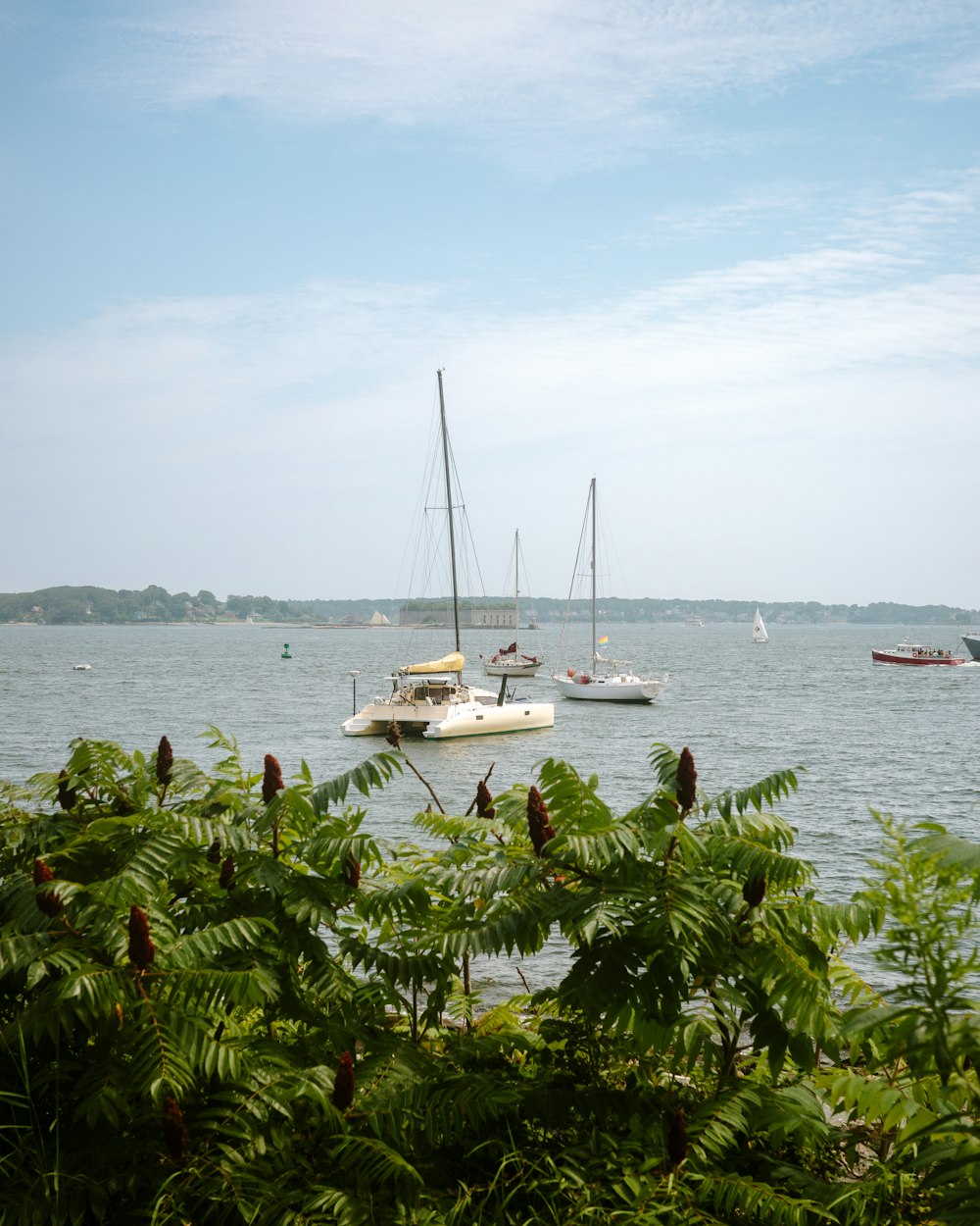 a couple of boats floating on top of a body of water