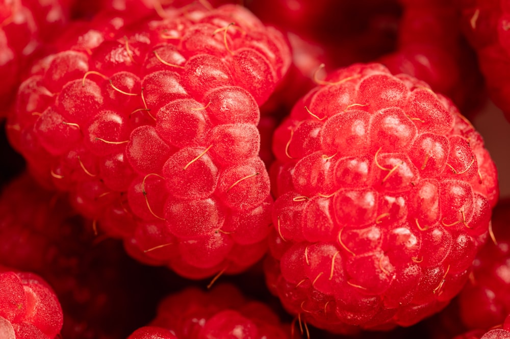 a close up of a bunch of raspberries