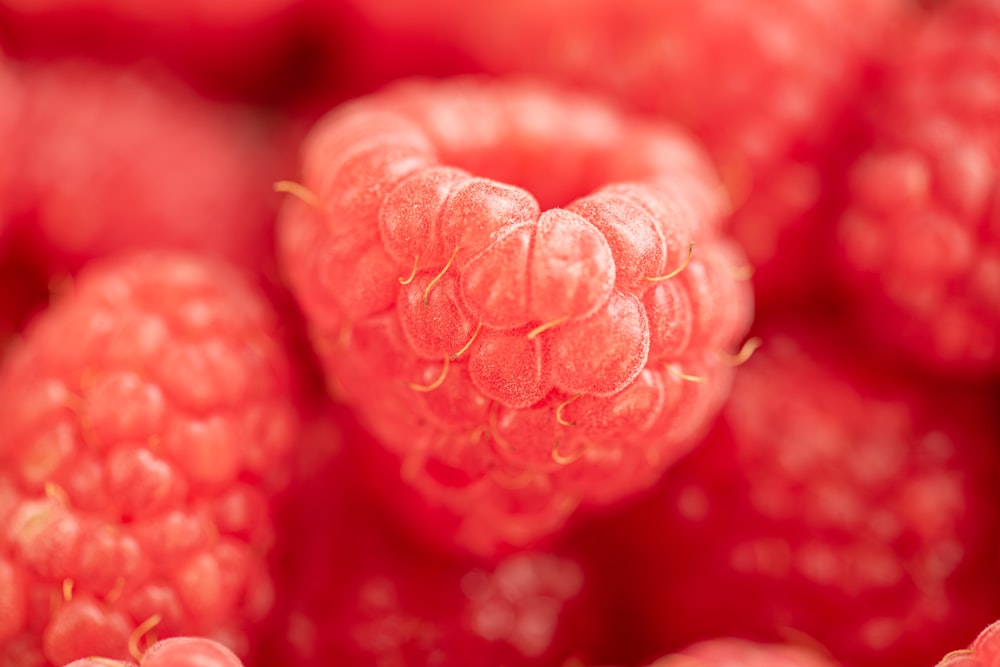 a close up of a bunch of raspberries