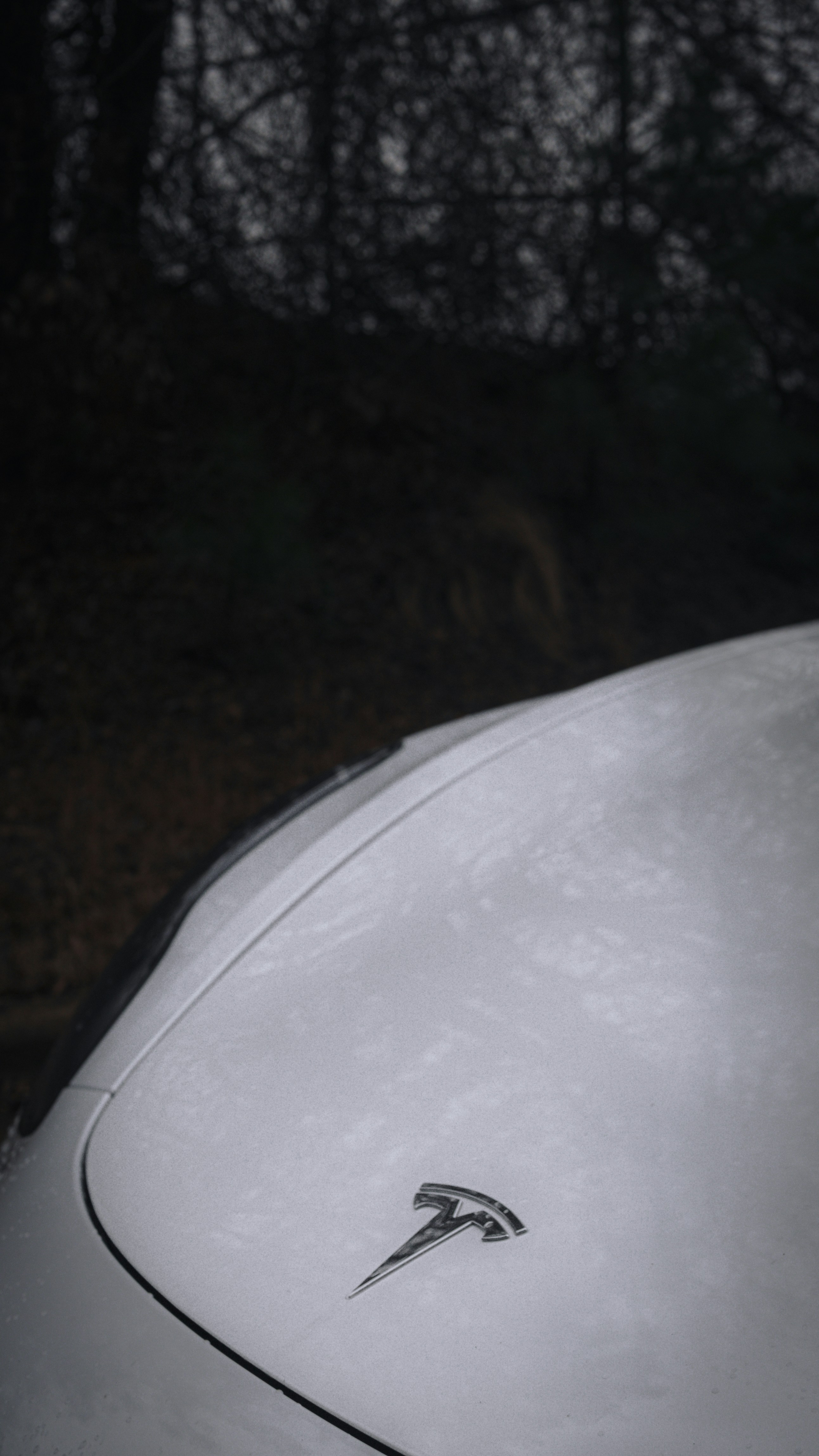 Photo by fruitboykid