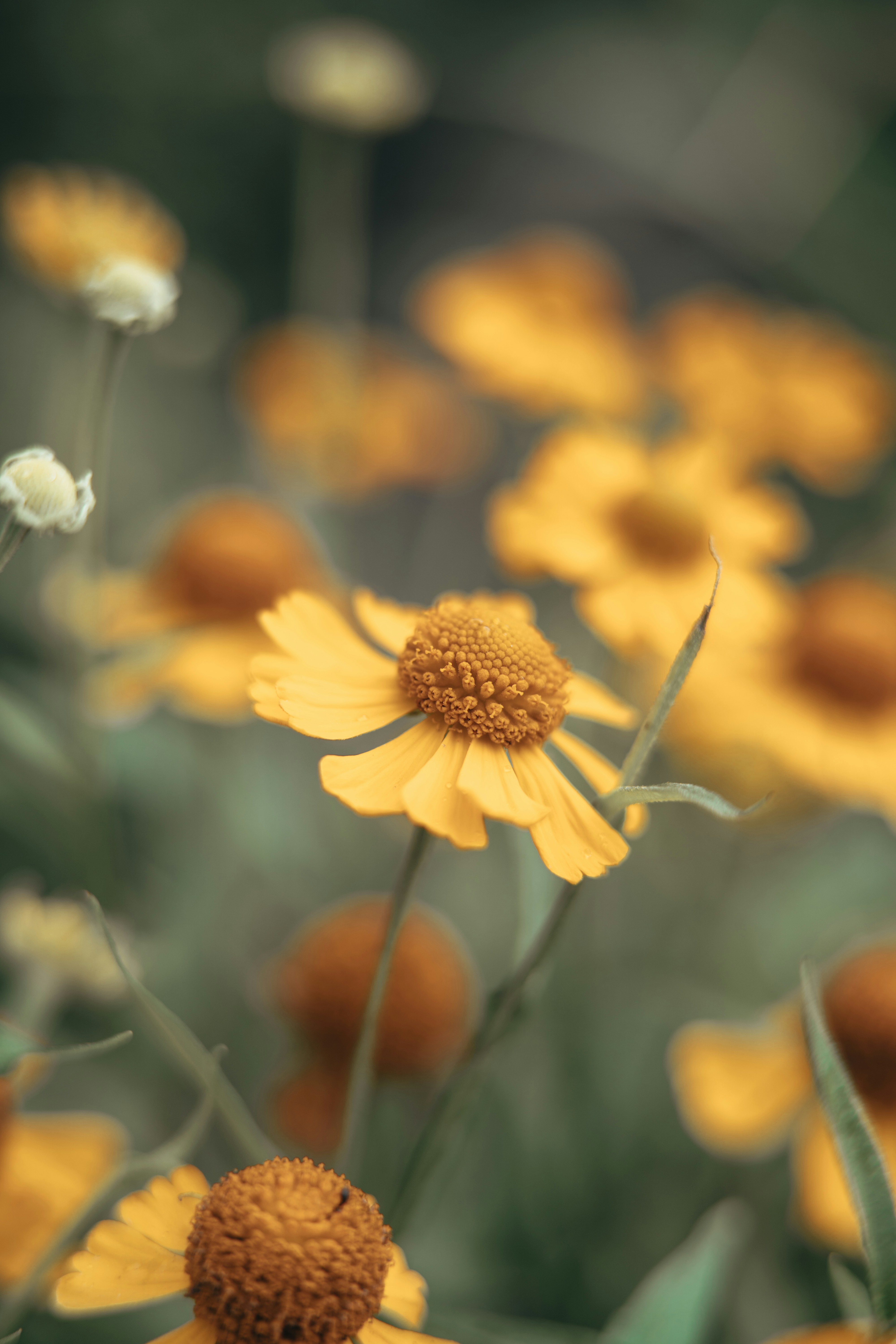 Photo by anamnesis33