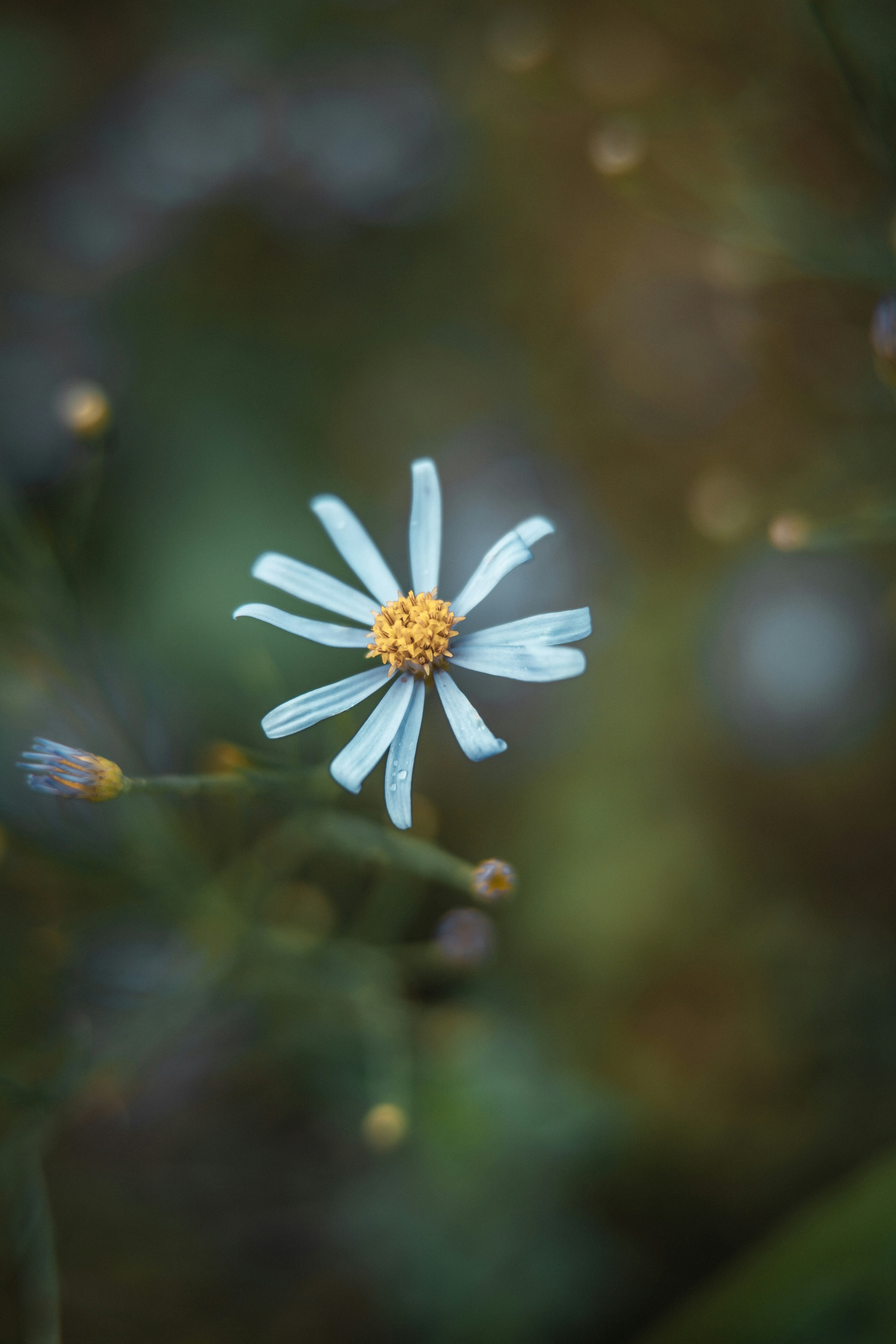 Photo by anamnesis33