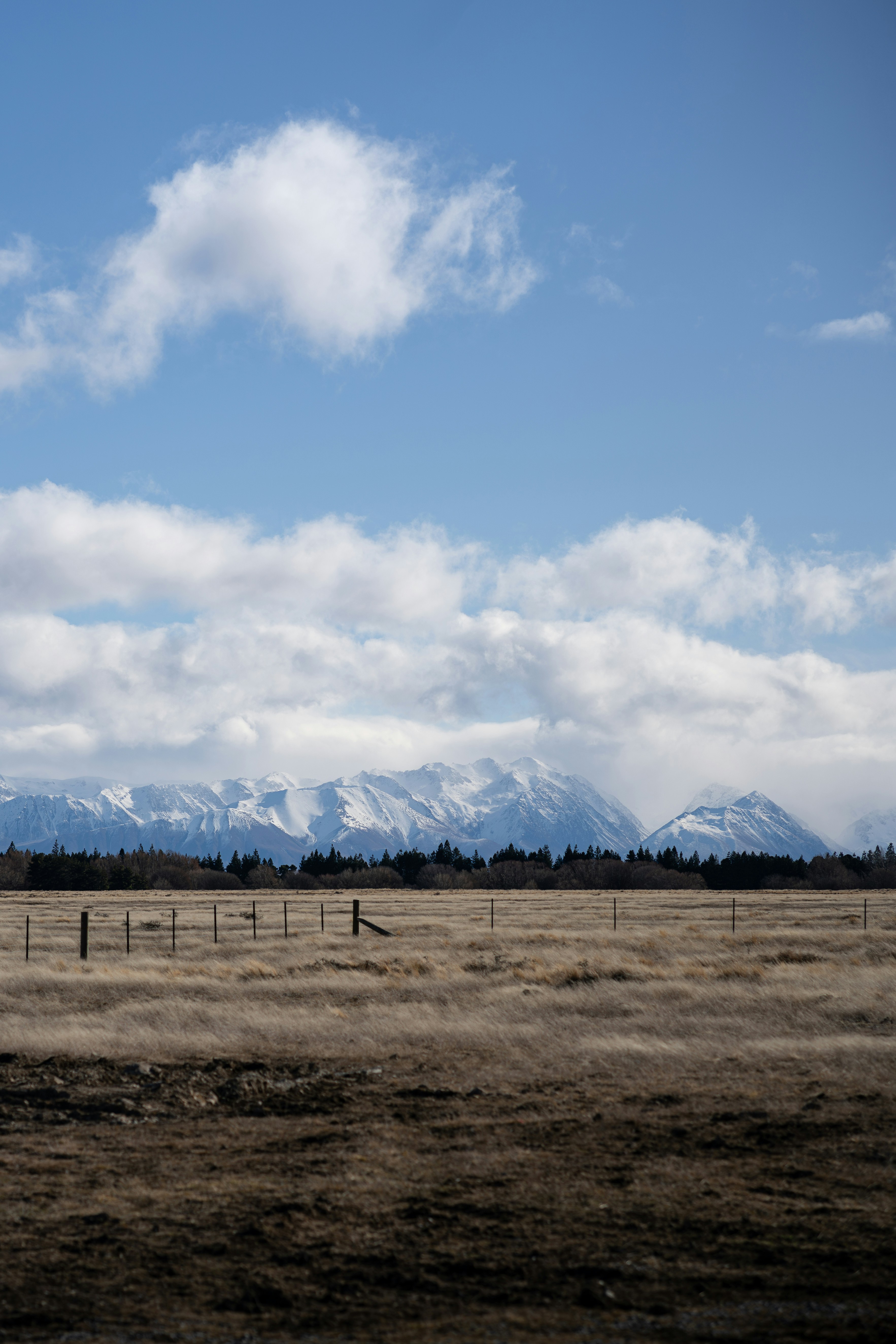 Photo by harrisonchang