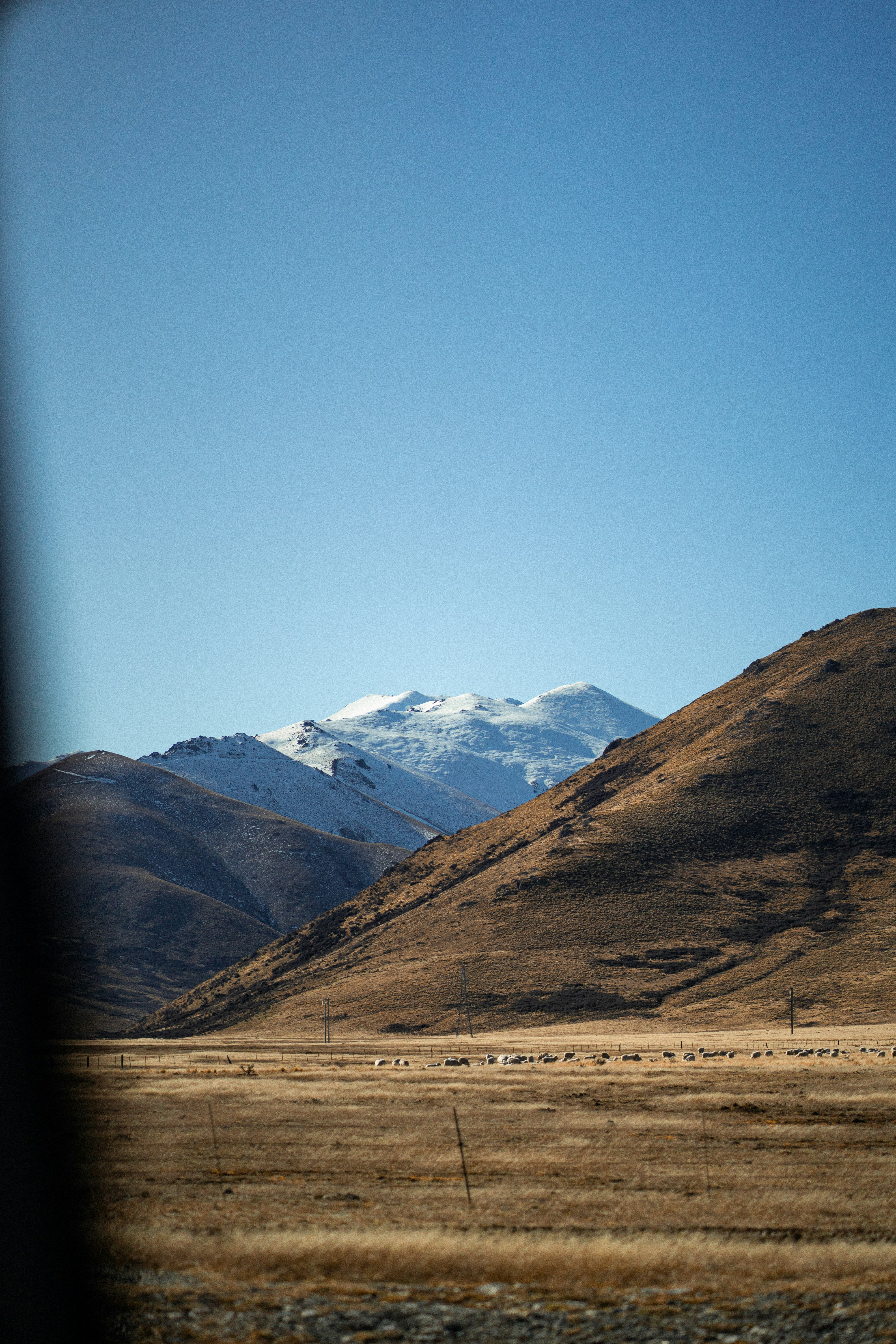 Photo by harrisonchang