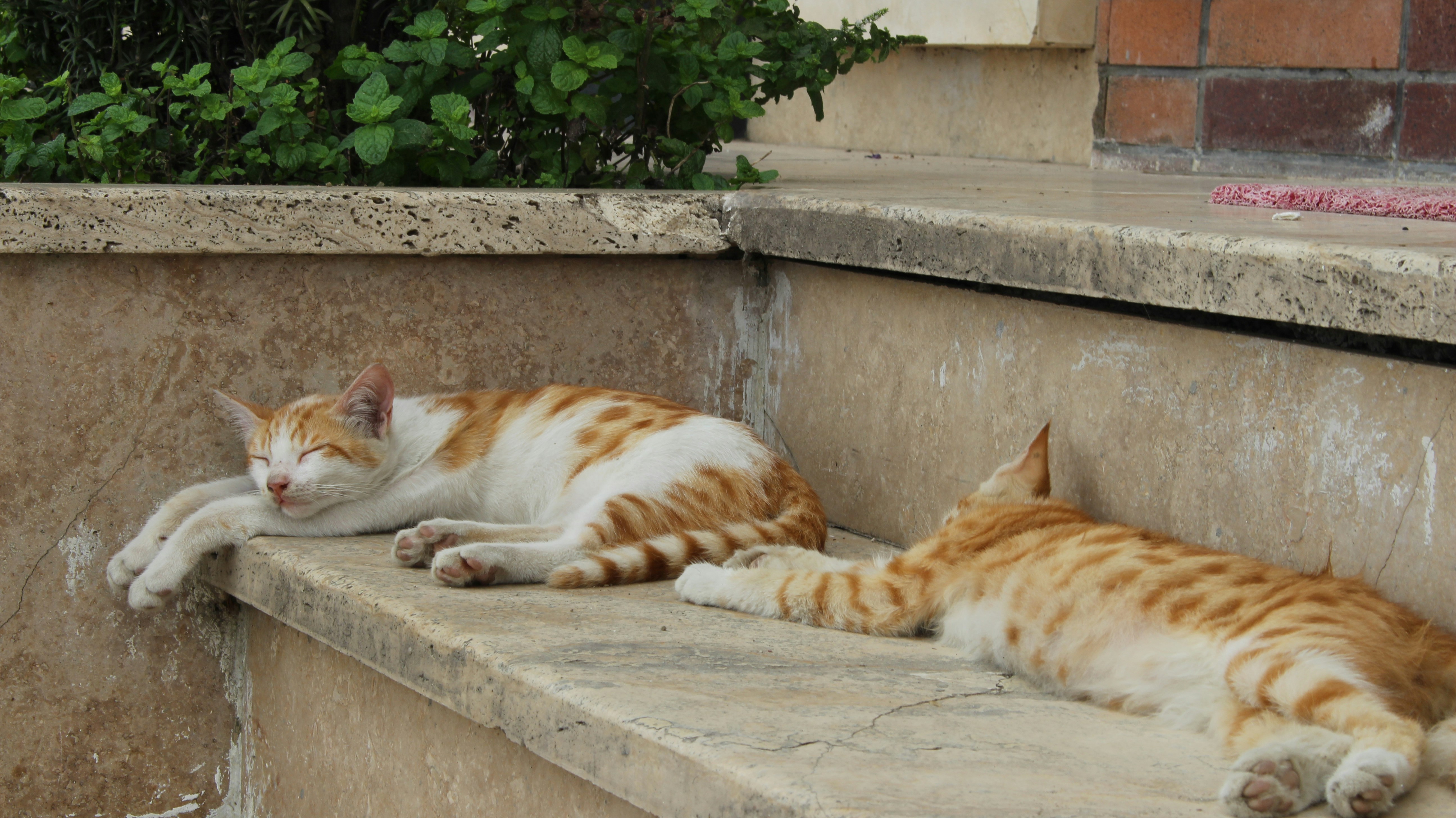 Photo by sara_mobasheri