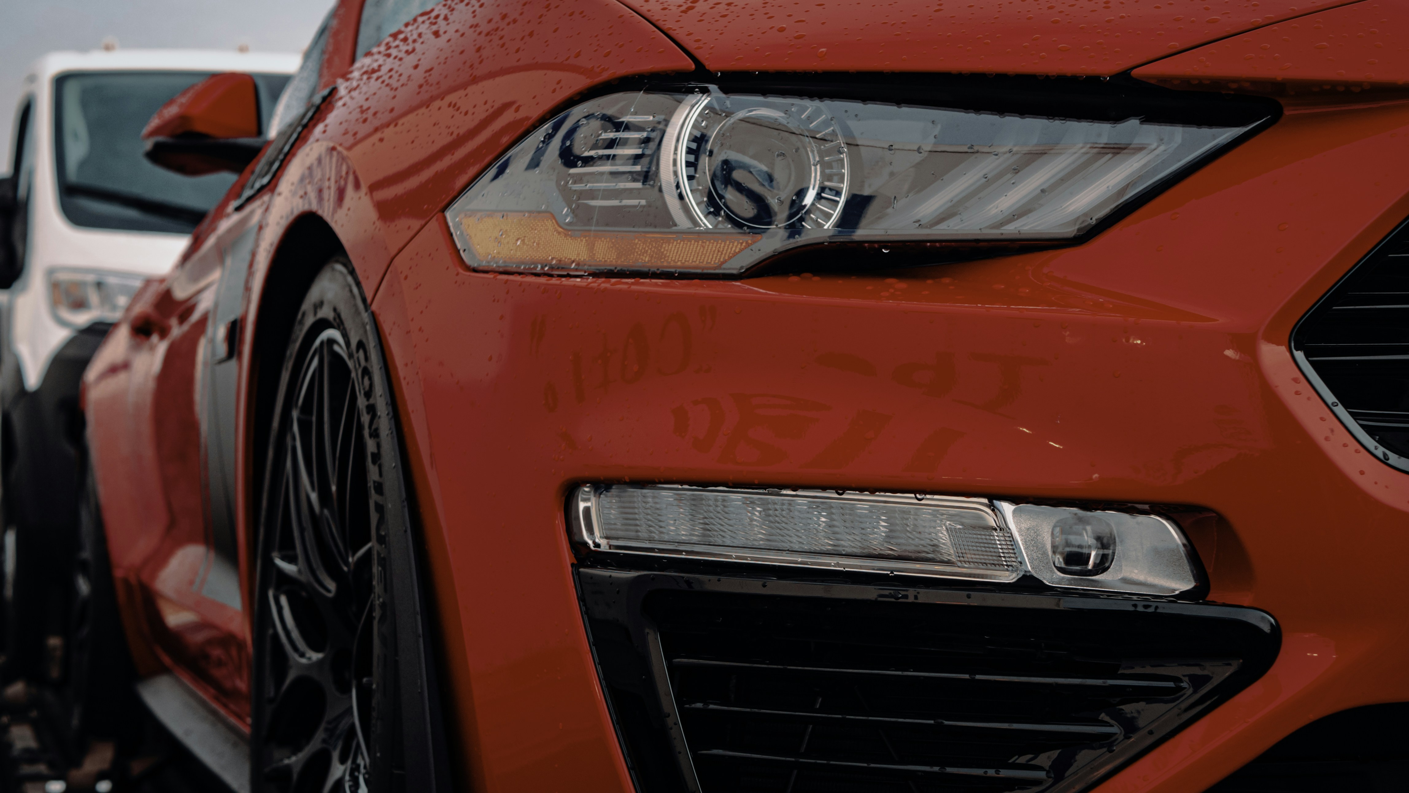 Photo by fruitboykid