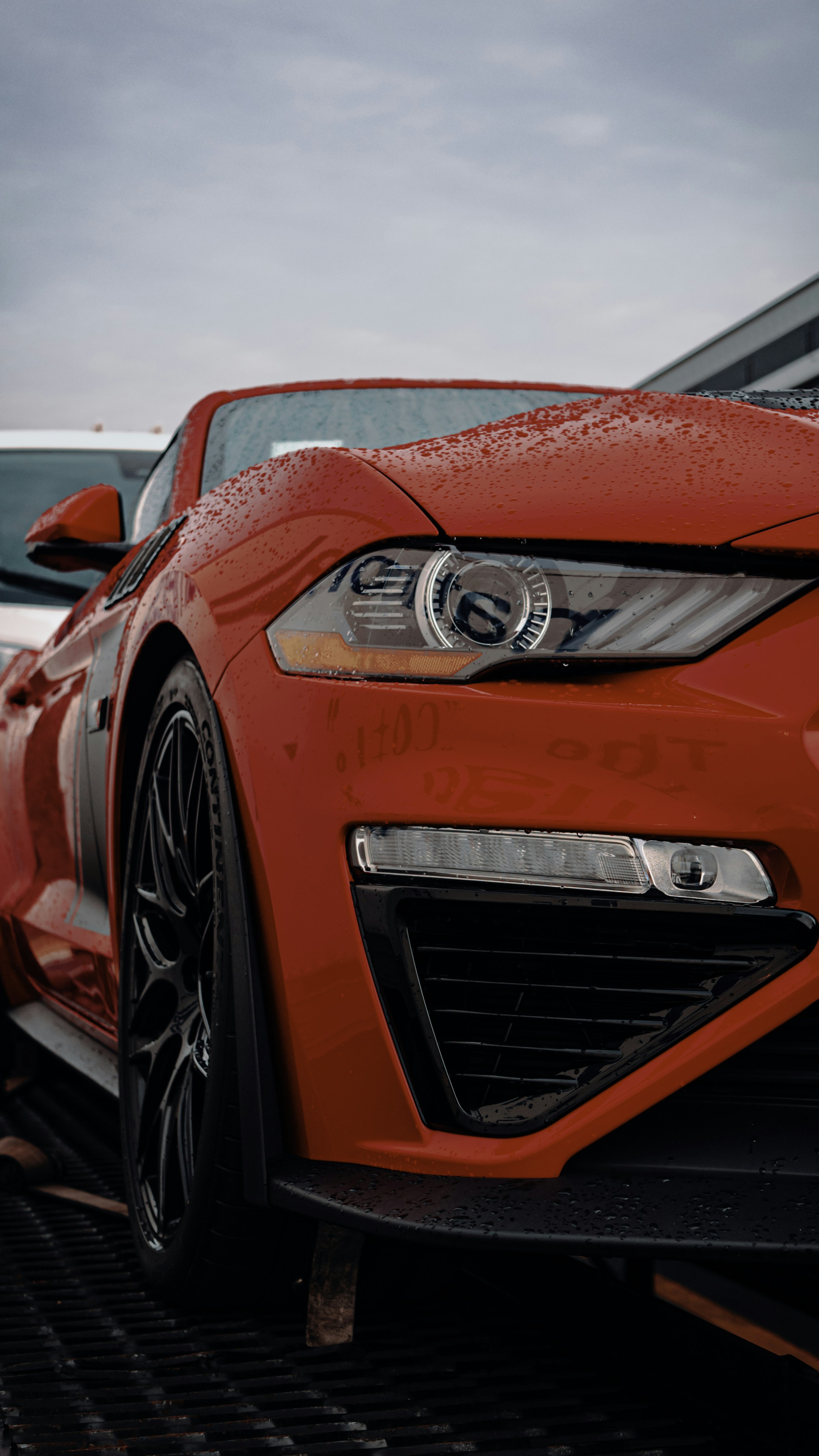 Photo by fruitboykid