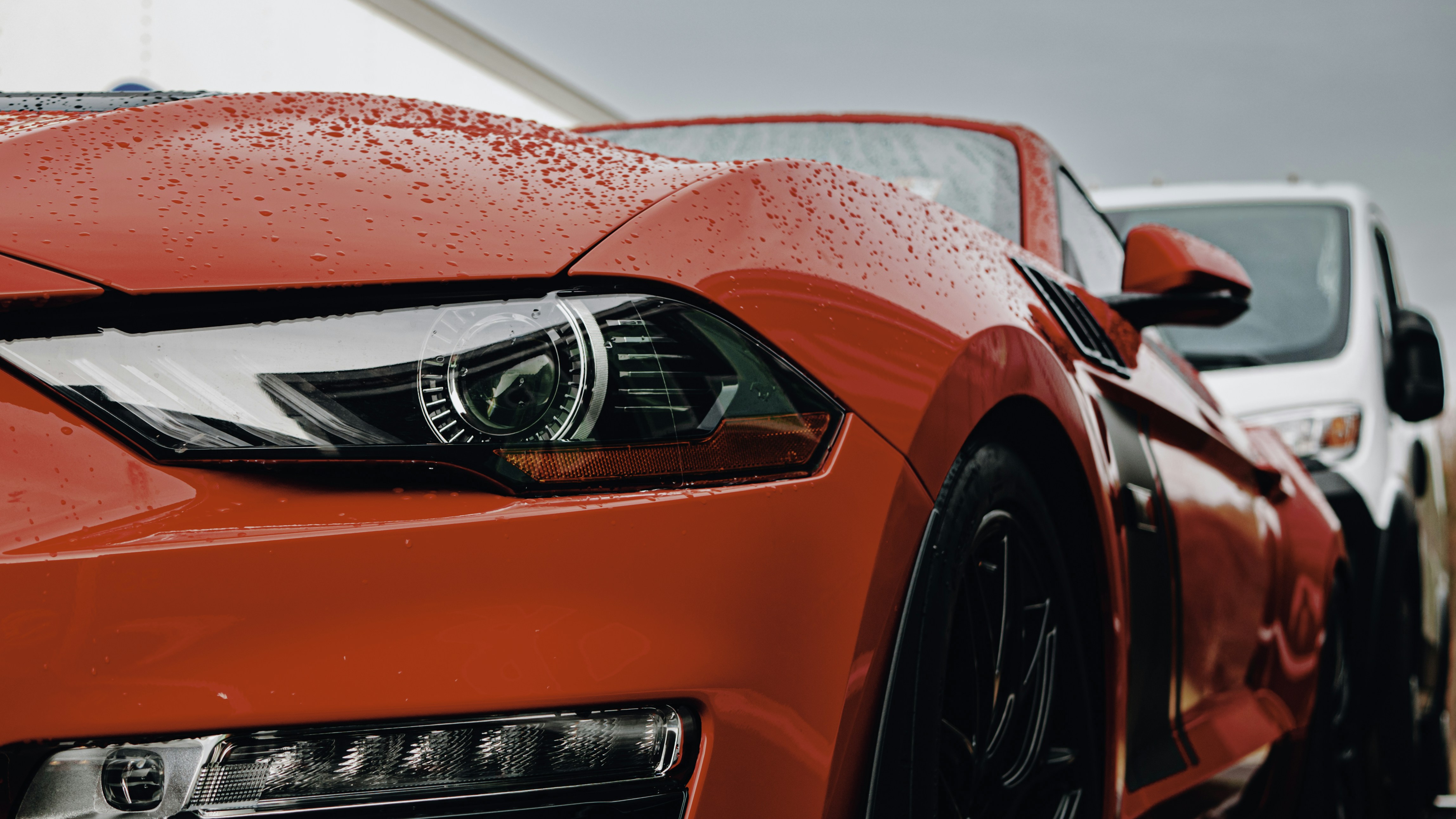 Photo by fruitboykid