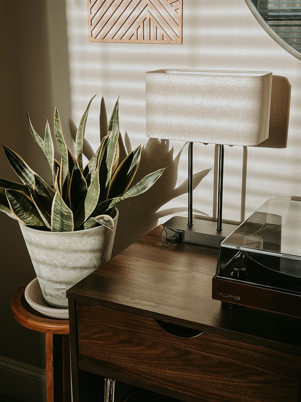 a potted plant sitting on a table next to a lamp