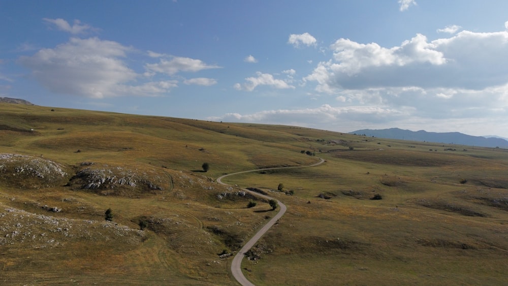 a winding road in the middle of a grassy field