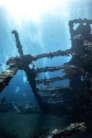 A sunken ship's structure submerged underwater, partially covered with marine growth and surrounded by small fish. Sunlight filters down from the surface, creating a mystical, serene atmosphere.