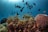 A vibrant underwater scene with various types of coral and marine plants. Numerous fish, including small yellow and black fish, swim around the coral. The water is a deep blue, with sunlight filtering through from above, illuminating the diverse marine life.