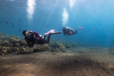 Two scuba divers are exploring an underwater environment, surrounded by clear blue water. The seabed is sandy with scattered coral formations and small marine life. Bubbles rise from their breathing apparatus as they navigate through the serene underwater scene.