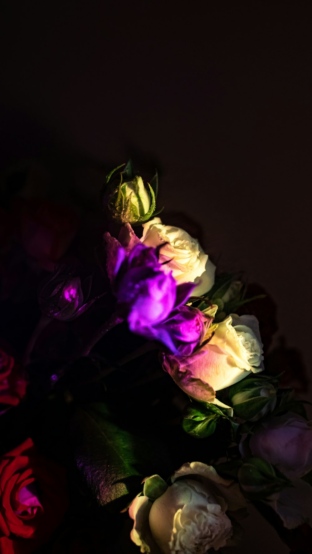 a bouquet of flowers lit up in the dark