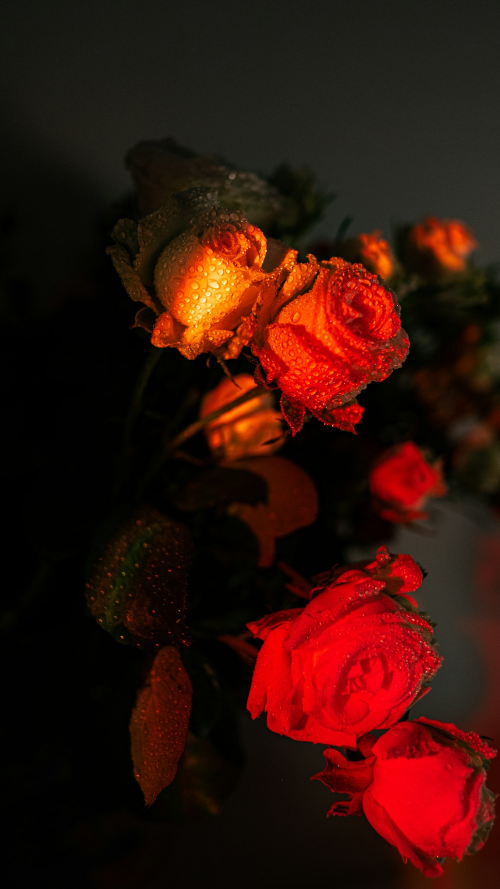 um close up de um ramo de flores sobre uma mesa