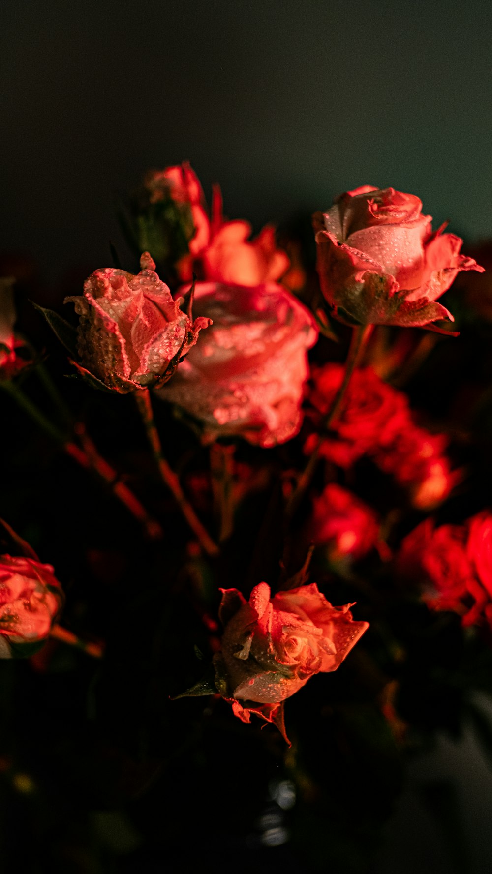 a vase filled with red flowers on top of a table