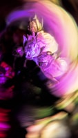 An artistic AI-generated close-up of a flower with surreal colors