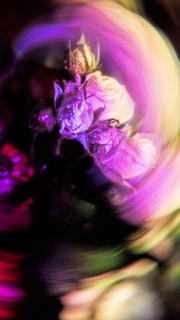 A surreal and colorful close-up of flowers with delicate petals covered in dewdrops. The composition features an artistic blur and vibrant lighting that creates a dreamy, swirling effect. The colors blend together, giving a sense of movement and fluidity.