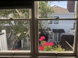 Window view showing a peaceful garden with blooming flowers.