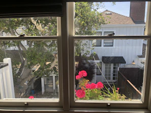 Beautiful garden view from a residential property with blooming flowers